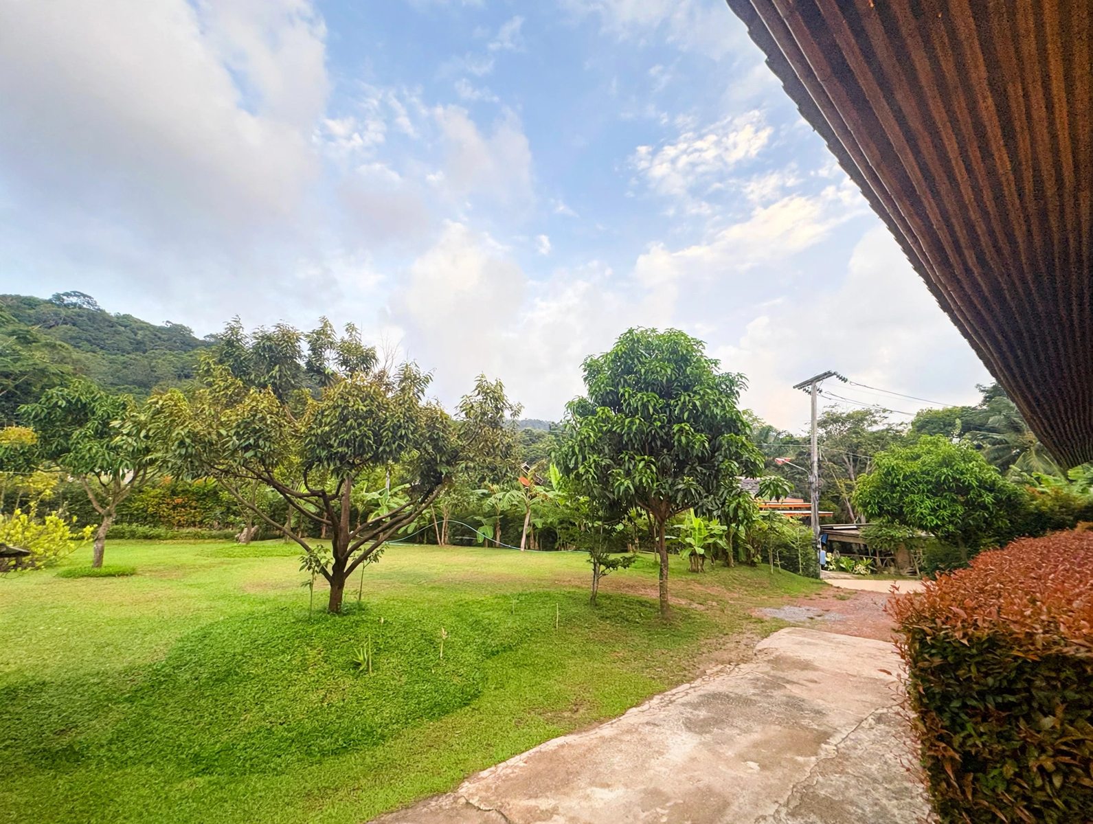 Green garden outside the rooms